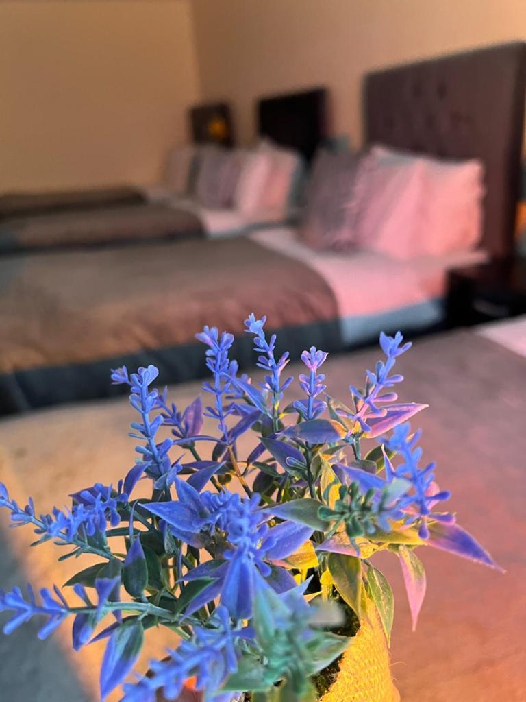 Luxury Apartamento *